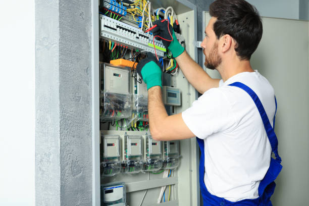 Best Electrical System Inspection  in Victoria, MS
